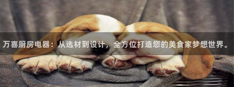 摩登7链接
