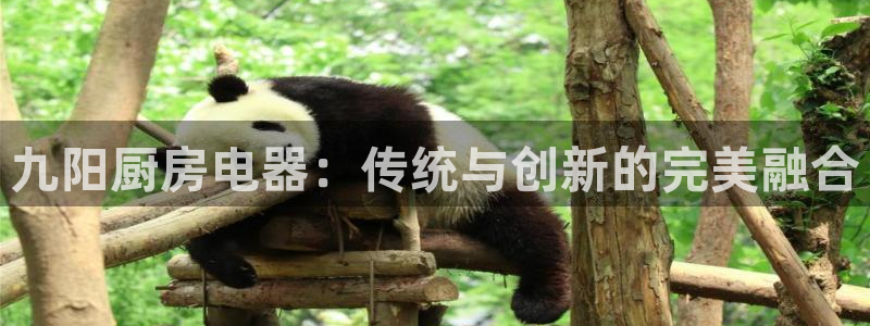 摩登7口碑
