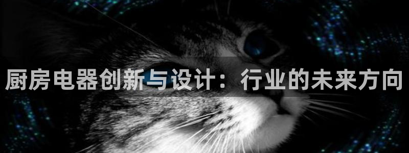 摩登7主管亲333OO