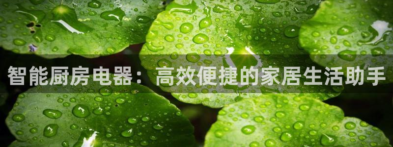摩登7级