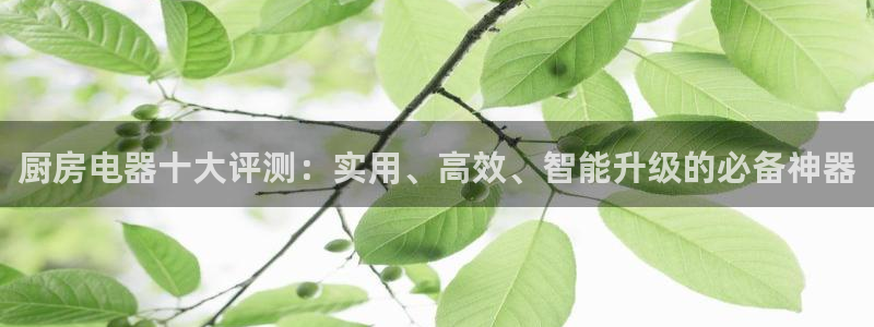 摩登7娱乐平台4