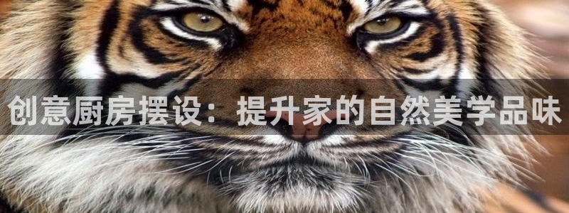 摩登7开户