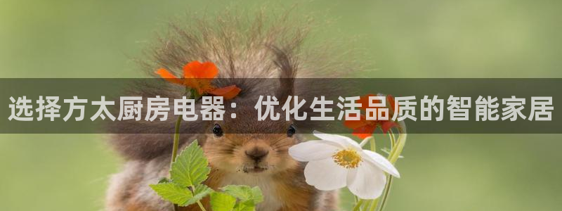 摩登7招商讨333OO