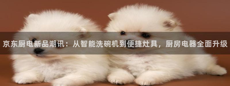 摩登4上7O667
