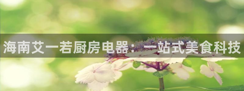 摩登3周这7O667