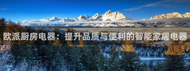 摩登7黑钱