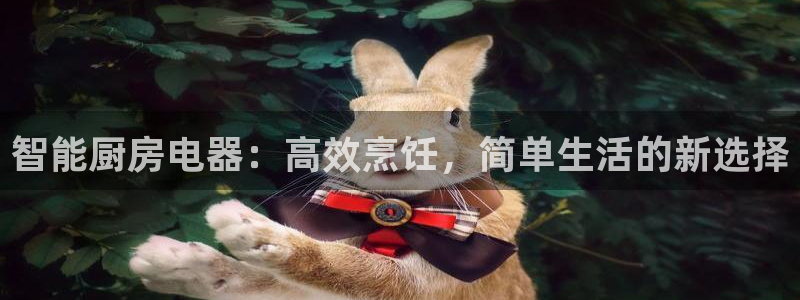 摩登4天7O667