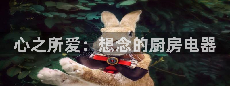 摩登7直属招商