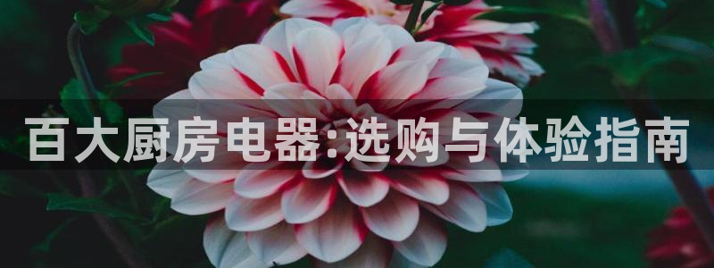 摩登6后7O667