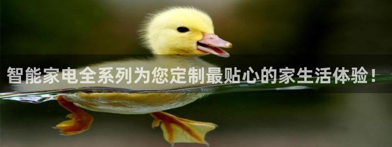 摩登5上7O667