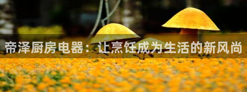 摩登7楼