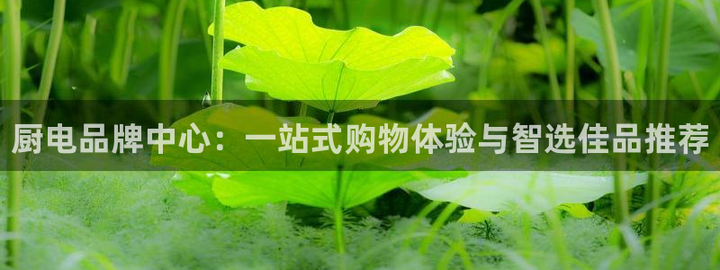 摩登平台局7O777