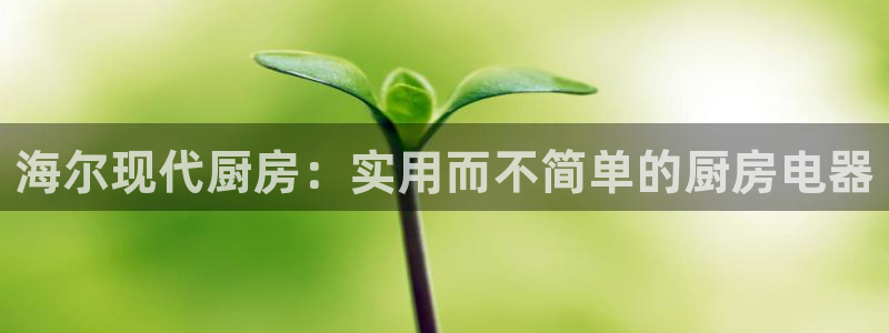 摩登3褚7O667