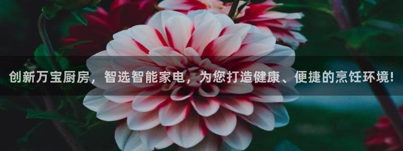 摩登系列摩登7