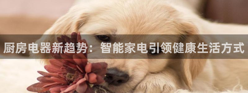 摩登7网站排名