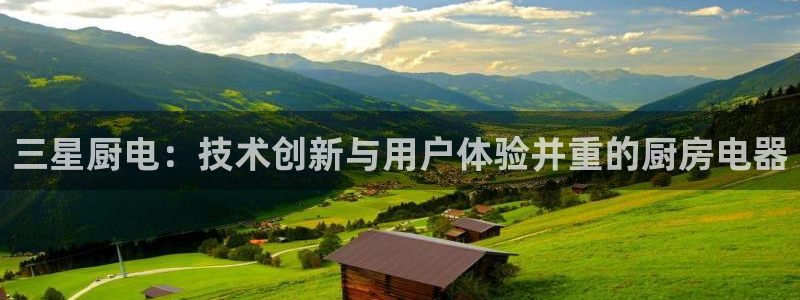 摩登7平台主管