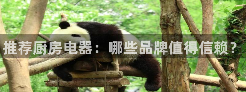 摩登7网站排名