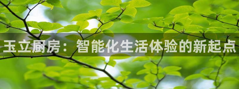 摩登7来宾