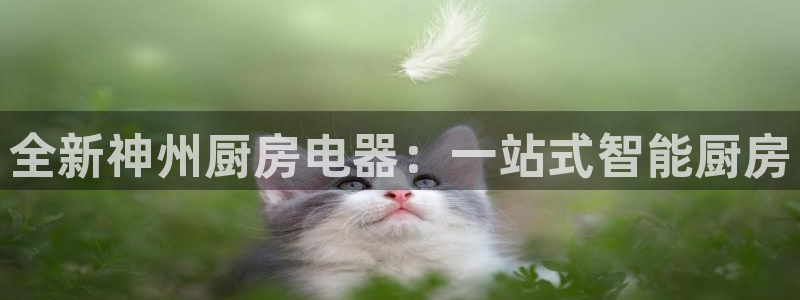 摩登6吴这7O667