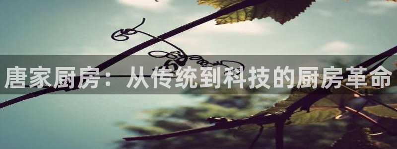 摩登7级