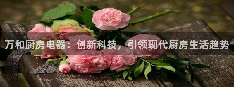 摩登7高管