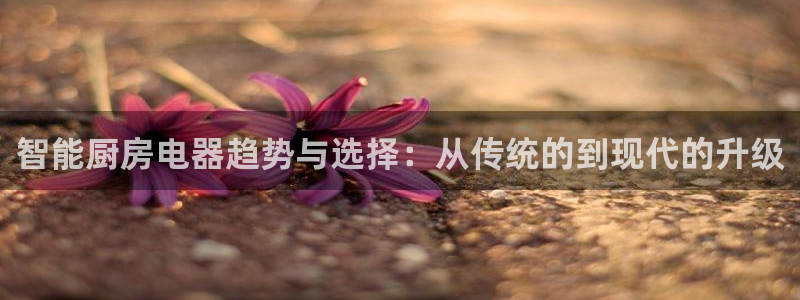 摩登7招商