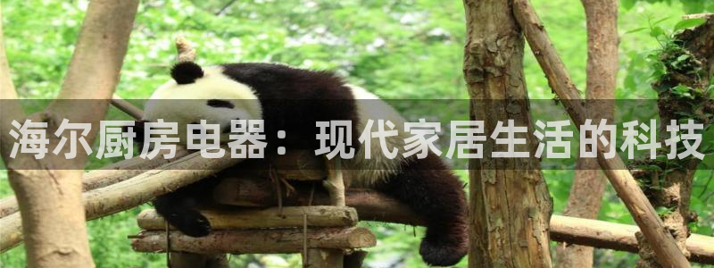 摩登7彩票平台登陆总代