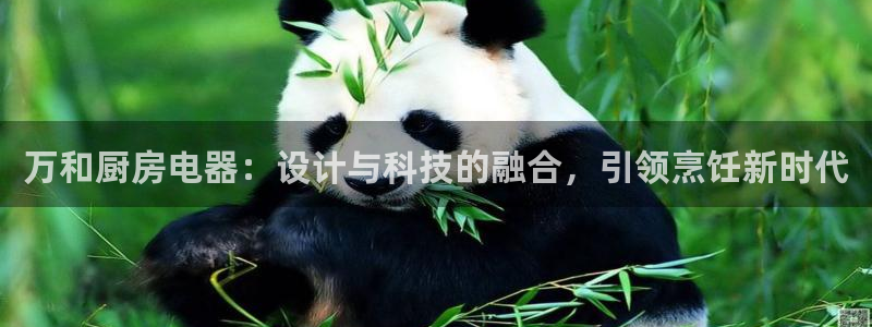 摩登7平台网址下载