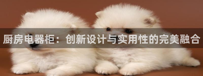 摩登7娱乐平台4