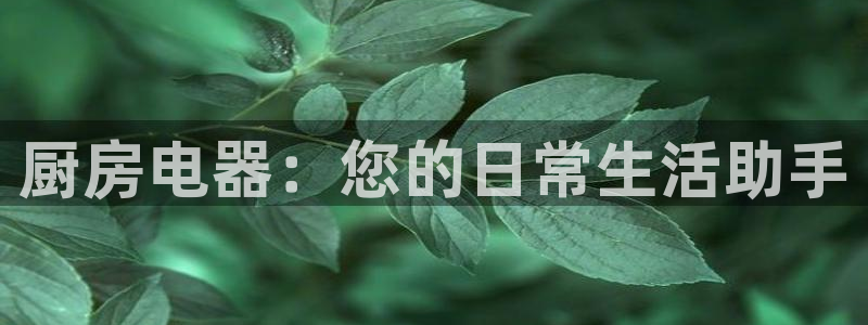 摩登7平台把7O777